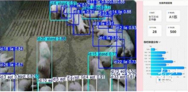 “‘猪’事顺遂”突击队研发的产品系统界面图。 受访者供图