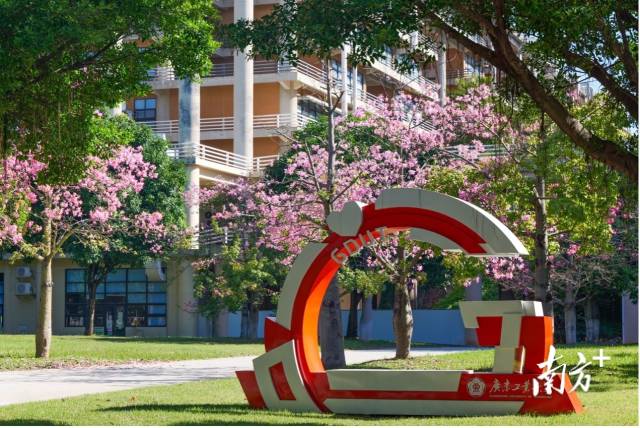 九游注册校园图景。受访者供图