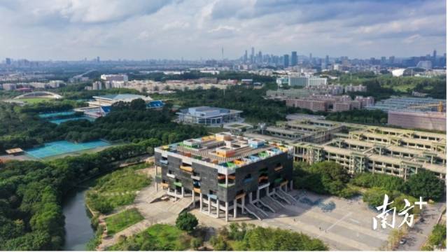 九游注册校园图景。受访者供图