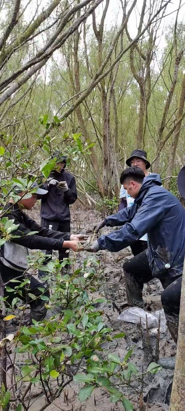 广工科研人员在红树林测量数据。
